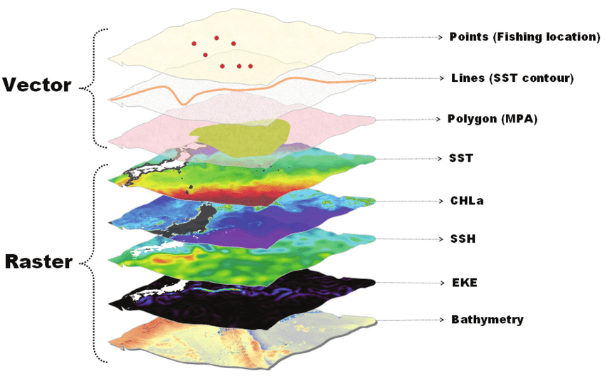 Vector and Raster data