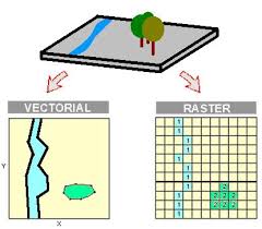 A river and a tree represented using a vector or a raster data model.